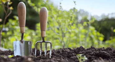 Zahradnický lunární secí kalendář na rok 2022 a sázecí stůl